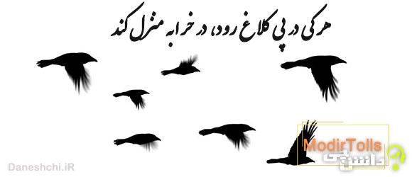 معنی ضرب المثل هر کی در پی کلاغ رود در خرابه منزل کند