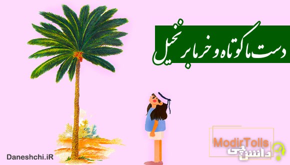 معنی دست ما کوتاه و خرما بر نخیل