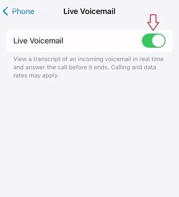 برداشتن ویس میل ایفون