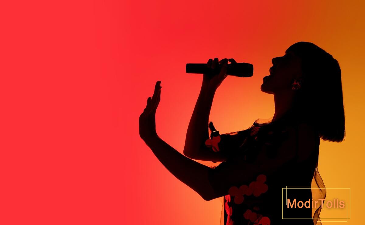 خوانندگانی که دیرر شروع کردند