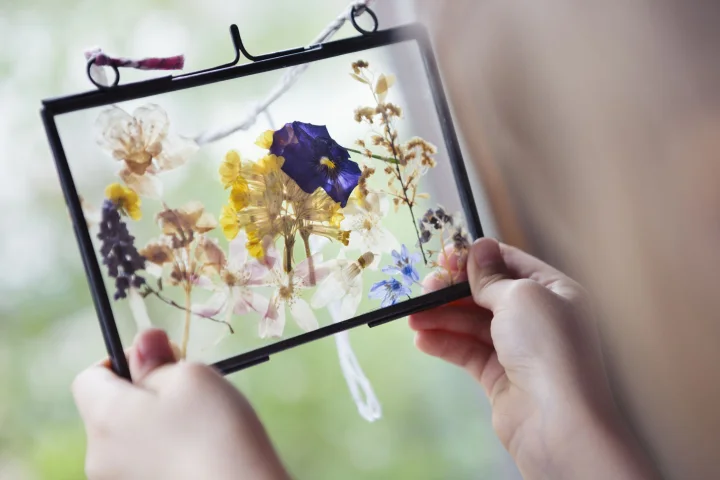 تزیین گل خشک در قاب