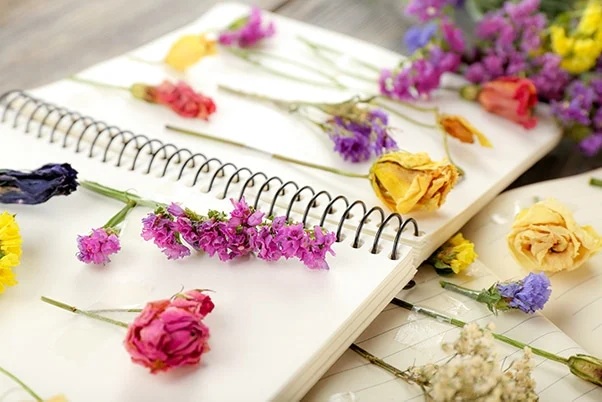 روش خشك كردن گل طبيعي