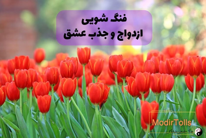 فنگ شویی ازدواج و جذب عشق