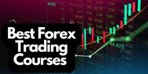 بهترین دوره فارکس