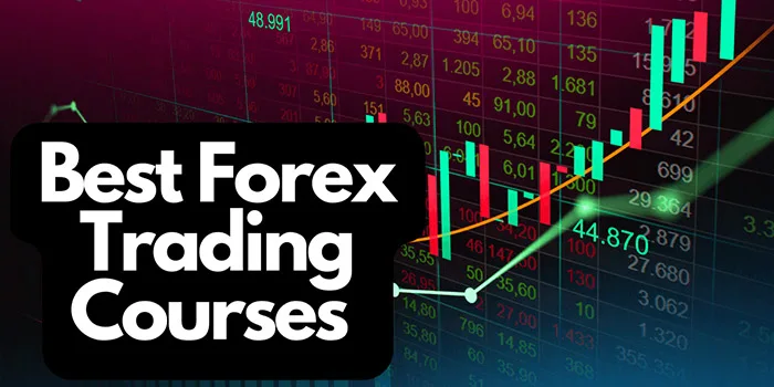 بهترین دوره فارکس