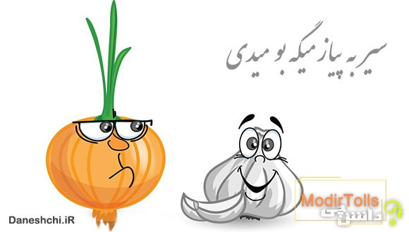 معنی ضرب المثل سیر به پیاز میگه بو میدی