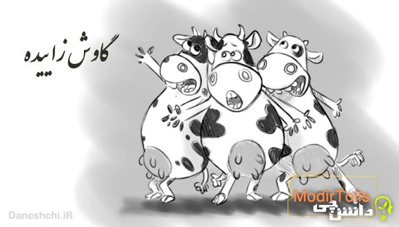 ضرب المثل گاوش زاییده