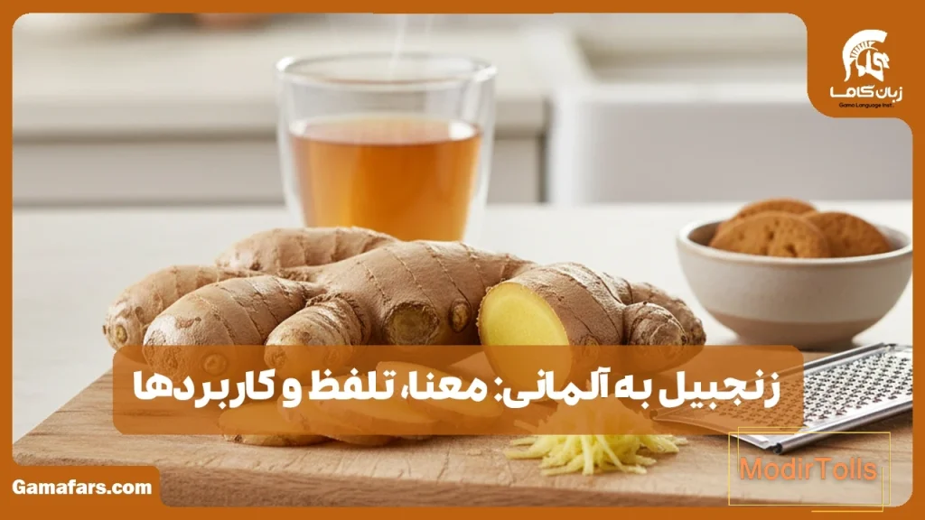 زنجبیل به آلمانی