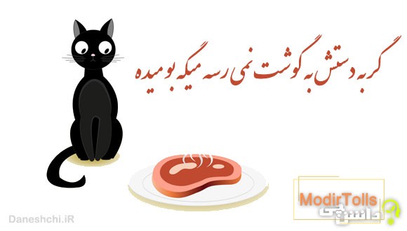 گربه دستش به گوشت نمی رسه