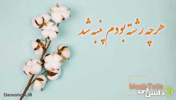 ضرب المثل هرچه رشته بودم پنبه شد