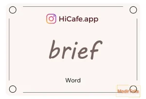 Meaning and usage of brief word