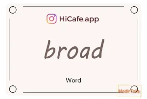 Meaning and usage of broad word