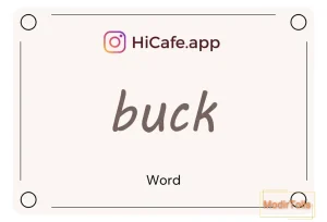 Meaning and usage of buck word