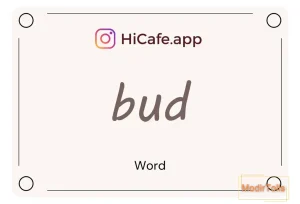 Meaning and usage of bud word