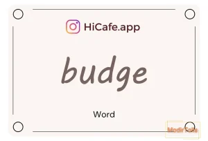 Meaning and usage of budge word