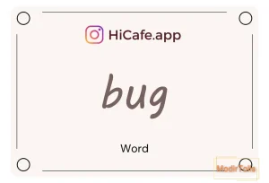 Meaning and usage of bug word