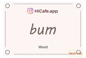 Meaning and usage of bum word
