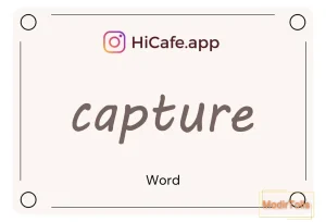 Meaning and usage of capture word