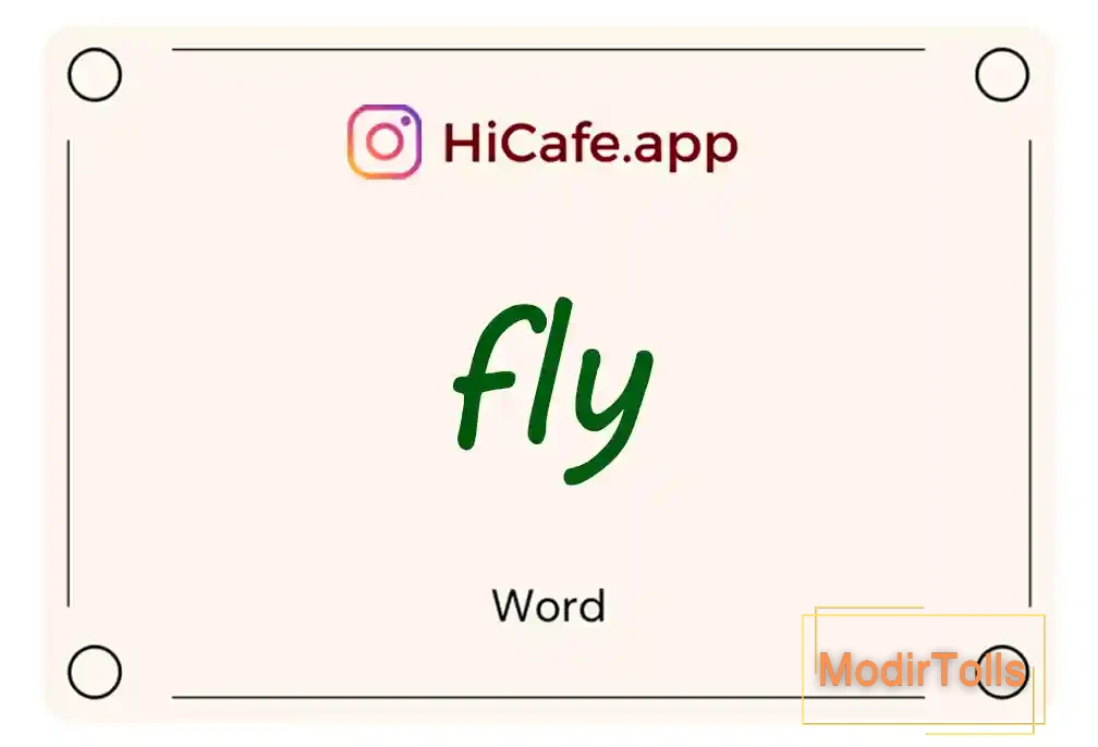 Meaning and usage of fly word