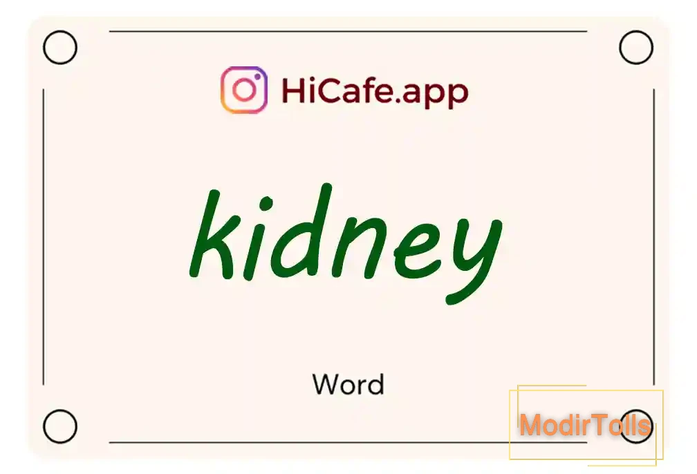 Meaning and usage of kidney word