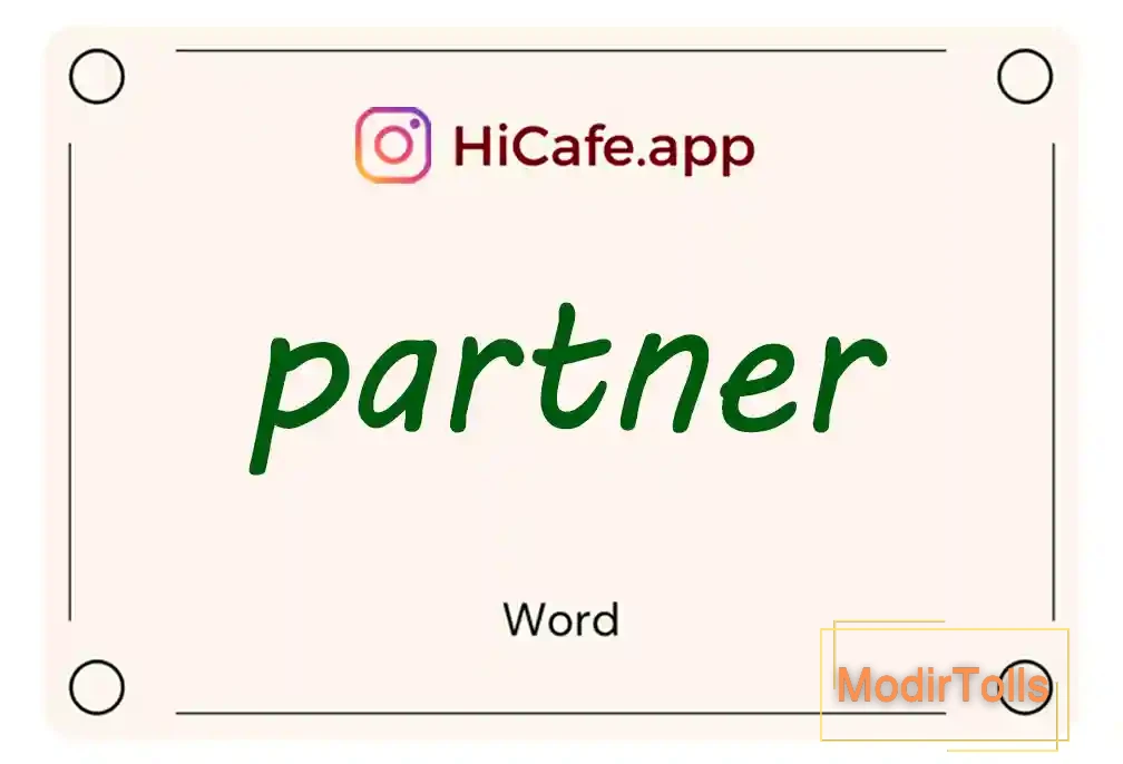 Meaning and usage of partner word