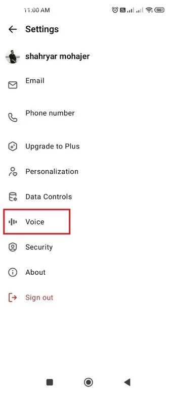 گزینه Voice