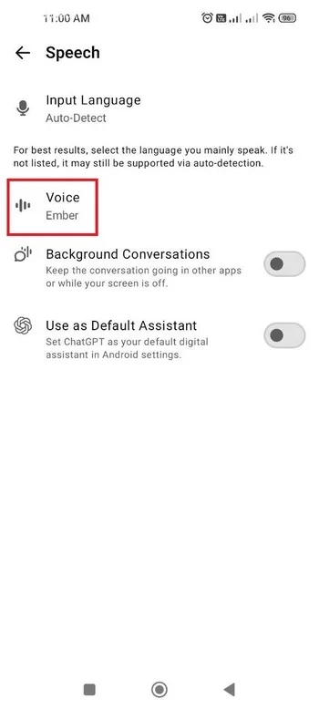 گزینه Voice در تنظیمات