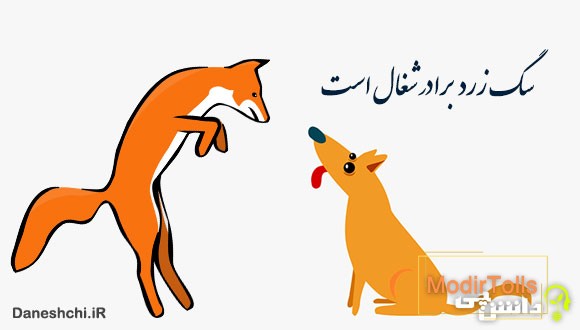 سگ زرد برادر شغال است