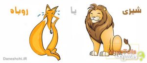 معنی ضرب المثل شیری یا روباه