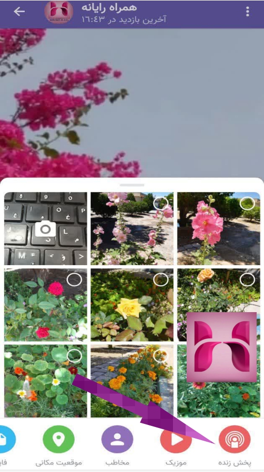 اموزش پخش زنده ایتا
