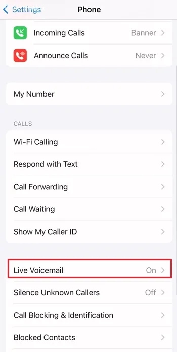 غیر فعال سازی voicemail در آیفون iOS 18