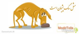 ضرب المثل مثل سگ پشیمان است