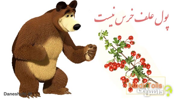 ضرب المثل پول علف خرس نیست