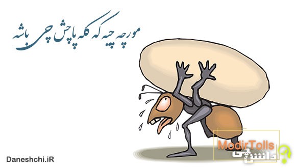 معنی مورچه چیه که کله پاچش چی باشه