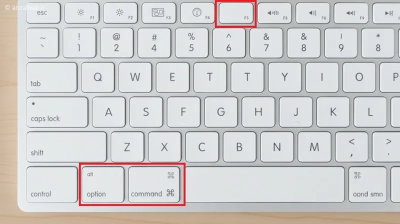 فعال کردن کلیک راست در مک