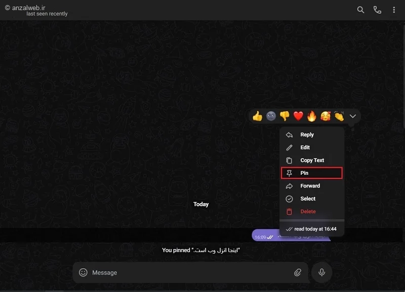 پیام پین شده در pv تلگرام وب