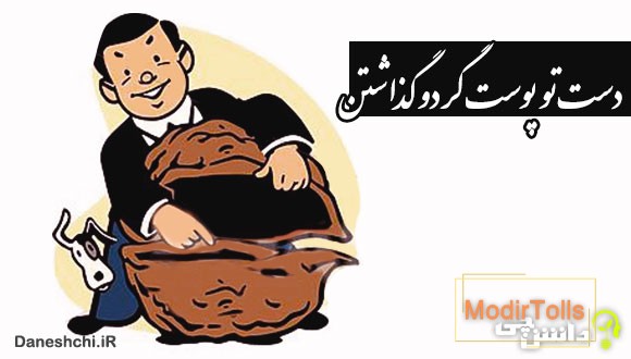 دست تو پوست گردو گذاشتن