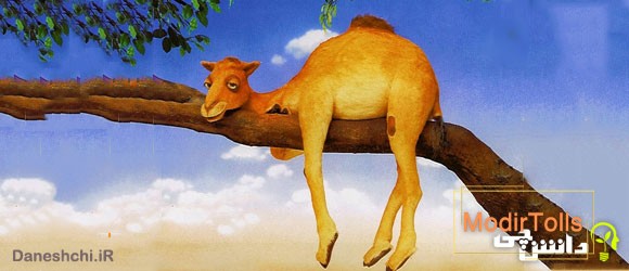 معنی ضرب المثل شتر در خواب بیند پنبه دانه