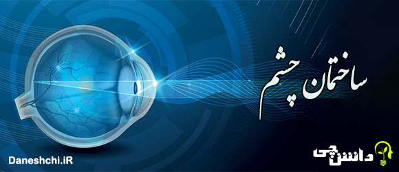 تحقیق در مورد چشم انسان و اجزای آن