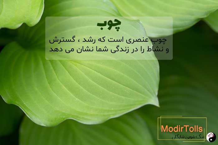 عنصر چوب در فنگ شویی
