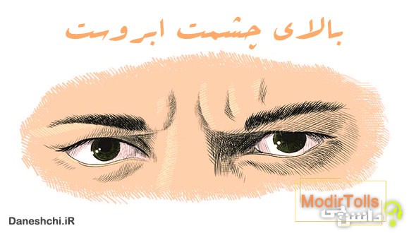 معنی بالای چشمت ابروست