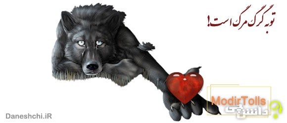 معنی ضرب المثل توبه گرگ مرگ است