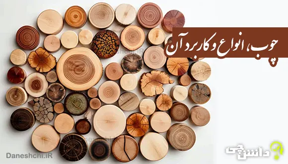 تحقیق درباره چوب، انواع و کاربرد آن