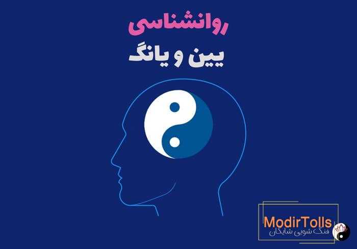 روانشناسی یین و یانگ