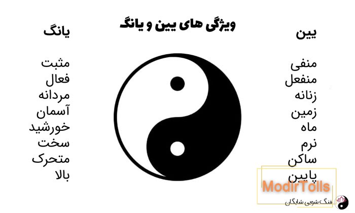 یین و یانگ در روانشناسی