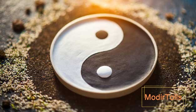 یین و یانگ در روانشناسی مدیر تولز