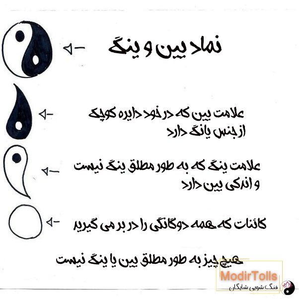 یین و یانگ چیست؟