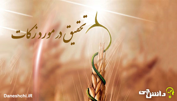 تحقیق در مورد زکات، احکام و تاثیرات آن در زندگی مسلمانان