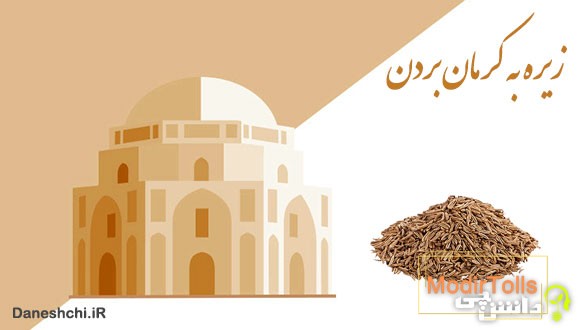 معنی زیره به کرمان بردن