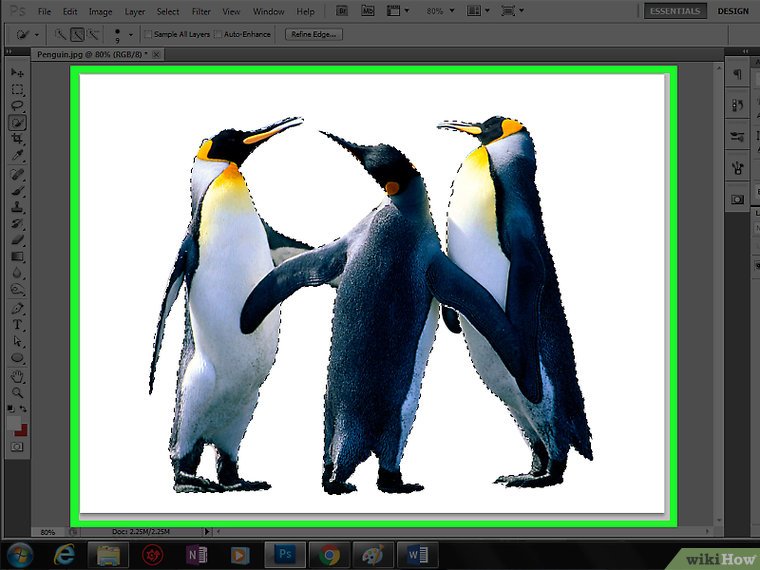 انتخاب قسمتی از تصویر